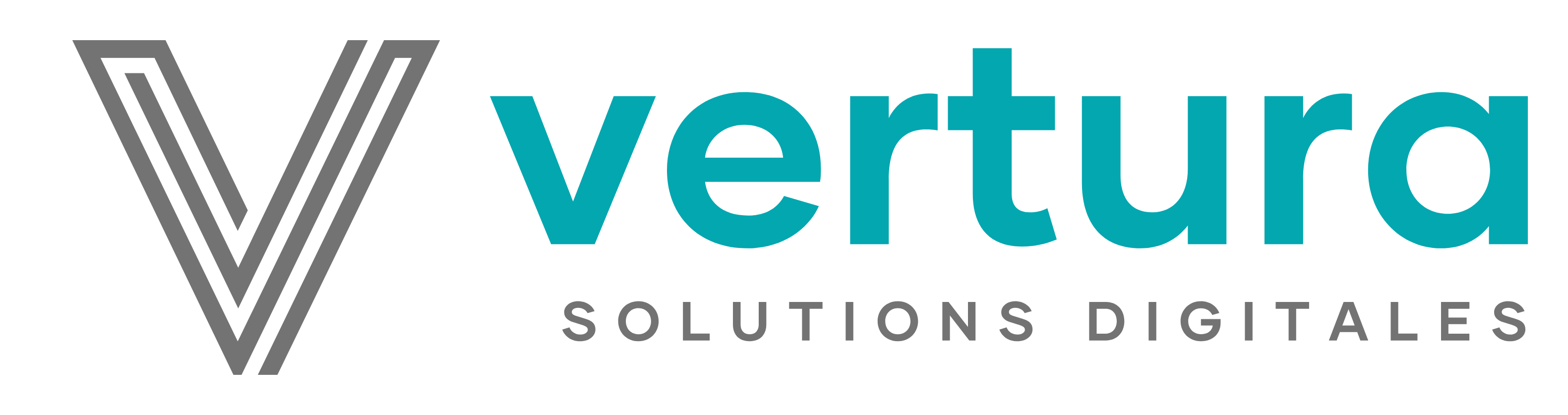Éditeur de logiciel web Vertura Solutions